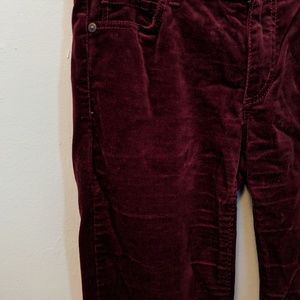 Loft red velvet skinny pants